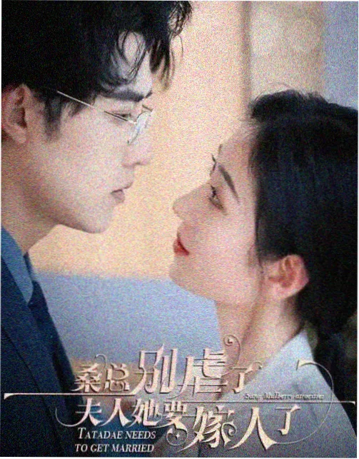 双城谜案 剧集缩略图 两座城市对切